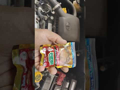 how to protect your car from rats