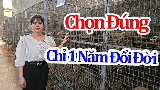 Young Teacher Quits Her Job to Choose Mink Farming for Export - Earns Hundreds of Millions in Jus...