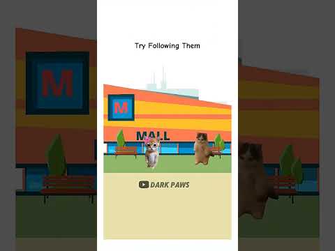 How to Be a “Better” Stalker 😼 (Dark Humor Tips)