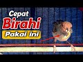 Young Prenjak Will Quickly Get Into Lust With This Method How To Increase The Lust Of Young Pr