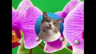 ASSBRASS & TAEWAN - MAGIC [Official Video]