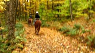 preview picture of video 'Horseback Riding in the Green Mountains of Vermont'