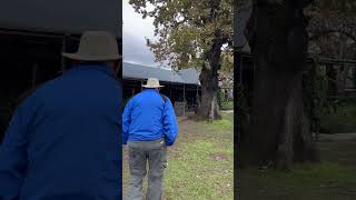 Vou conversar e quem sabe entrevistar dono de uma grande fazenda na África do Sul  #africa