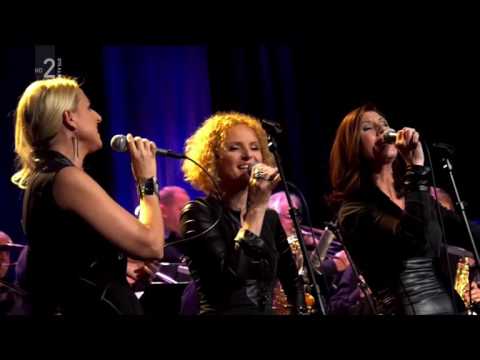 Rok Golob, Katrinas, Murat & Jose, Big Band RTV Slovenija