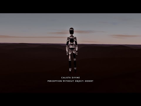 CALISTA DIVINE - PERCEPTION WITHOUT OBJECT: DESERT
