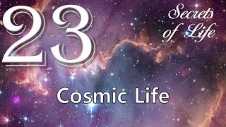 23. THE COSMIC LIFE ... JESUS ELUCIDATES ❤️ SECRETS OF LIFE revealed thru Gottfried Mayerhofer