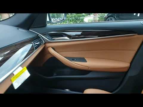 2020 BMW 5 Series Lakeland, Plant City, Winter Haven, FL LWW61385