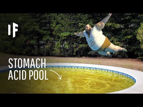 What Happens If You Jumped Into a Pool Full of Stomach Acid?