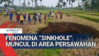 Download lagu Fenomena Sinkhole di Sawah, Air Mulai Muncul dari Dasar Lubang mp3