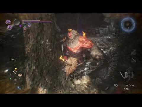 NIOH 2 pt18