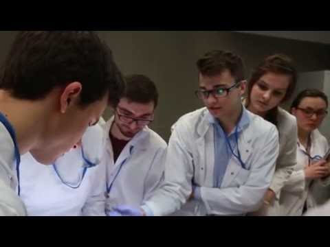 English division in Kielce - The Jan Kochanowski University