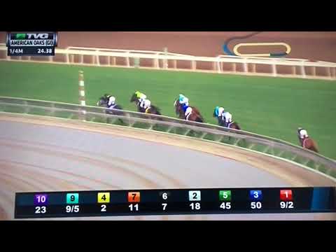 AMERICAN OAKS (G 1) STAKES $300,000 12/30/17 - DADDYS LIL DARLING !!!