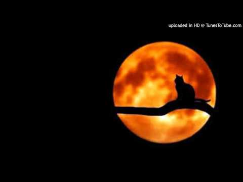 Mike Absolom - Tropical Storm (Vegim Remix)