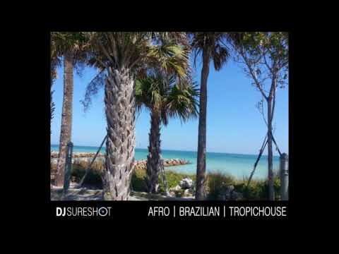Afro | Brazilian | Latin | Tropichouse - October 2017