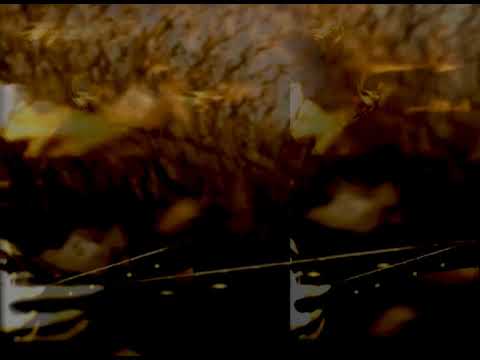 KODAX STROPHES/MARTYN BATES -Treasure Of Feathers.(from Post-War Baby) . (Eyeless In Gaza) .