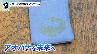 9月15日【びわ湖放送ニュース】【記者解説】草津市の花「アオバナ」活用について考える　小学校でお守りづくり