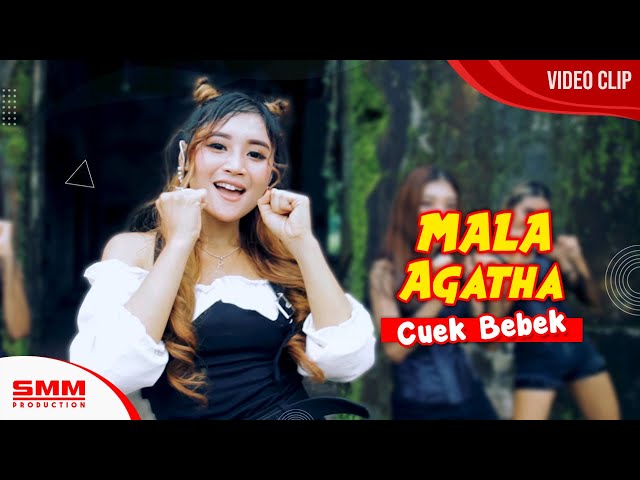 Chord Kunci Gitar Jangan Bohongi Hati Jihan Audy Ft Mala Agatha Chord Mala Agatha - Cuek Bebek Kunci Gitar Dasar dan Lirik - Indonesiachord.com