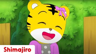 Hannah Gets a Sister 💕Brother & Sister | Kids video for kids |Shimajiro
