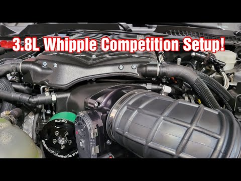 We Installed A 3.8L Whipple Supercharger On Our 2019 Mustang GT!