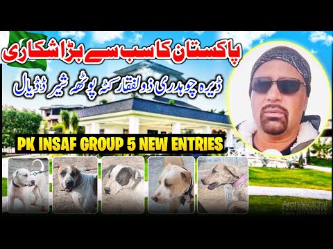 Biggest Shikari Of Pakistan 🇵🇰 Dera Ch Zulfiqar Potha Sher || Pk Insaf Group New Entries || Vlog