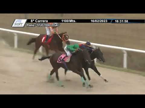 SINT FLORIDA 230216 c08 1° GUSTITO