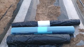 고추밭 비닐멀칭 , 비닐넓이와 검정비닐과 흰색비닐 중에 어떤색이 고추를 잘되게 할까요?