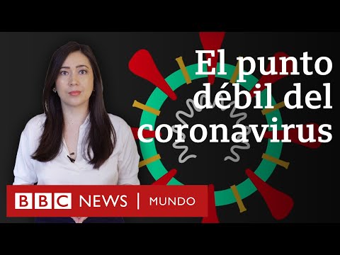 El Punto Débil Del Coronavirus Que Encontró Una Científica Mexicana