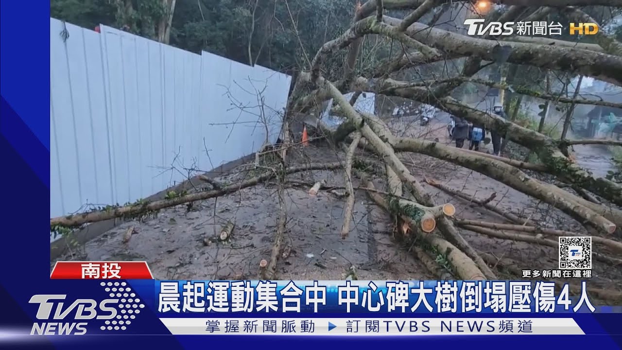 晨起運動集合中　中心碑大樹倒塌壓傷4人