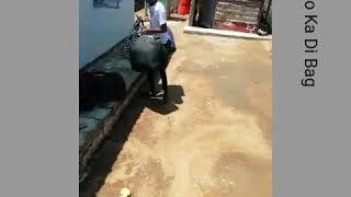 Motho Ka di Bag...  King Monada...