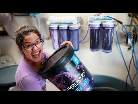 Make Your Fish Tank Water at Home | Simple RODI System