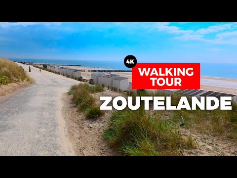 Zoutelande, Zeeland, Netherlands 🇳🇱 Walking Tour | Beach, Dunes & Village (4K 60FPS, 2025)