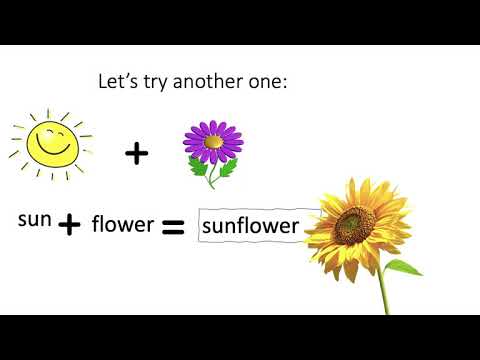 compound words presentation