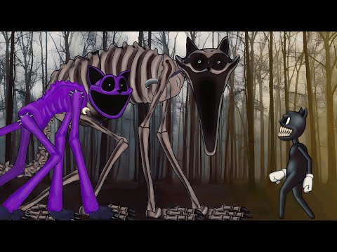 Catnap vs Cartoon Cat | Poppy Playtime Chapter 3 | Animation dc2