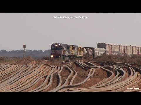 LDP005 & LDP004 on the Trans Australian Railway: Trains on the TAR Edition 7