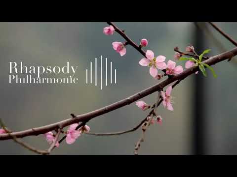 Avicii - Wake Me Up FLASHMOB Cover by Rhapsody Philharmonic