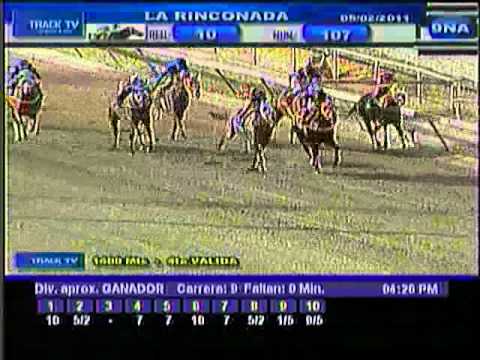 Resumen sábado 6 de febrero 2011 - La Rinconada