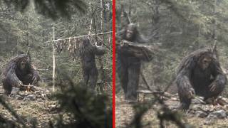 Unknown Creatures Have Been Filmed Across Alaska