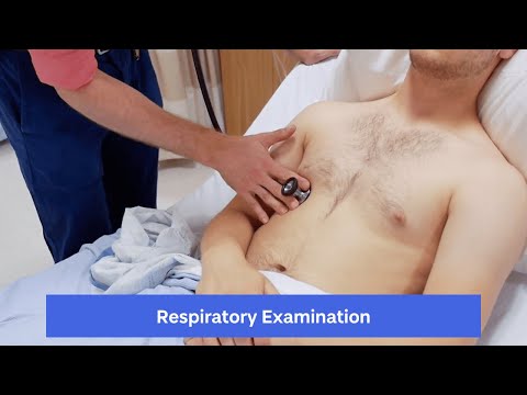 Respiratory Examination
