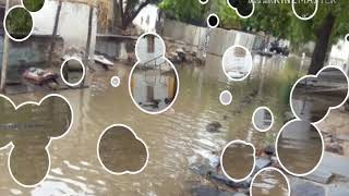 preview picture of video 'Gankota back water.datta Puram village.'