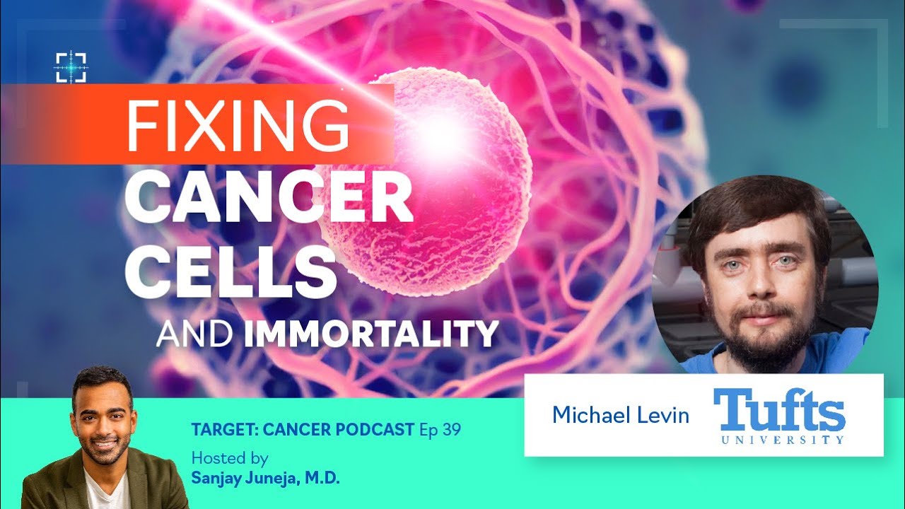 Fixing cancer cells and Immortality