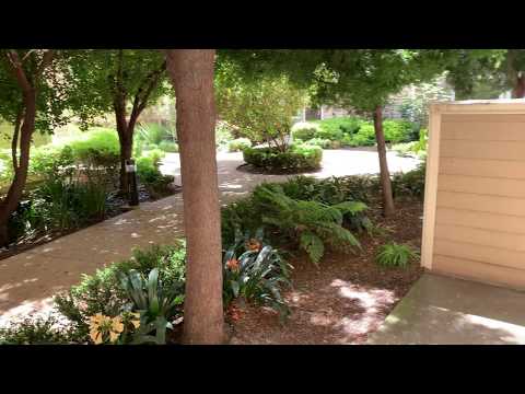 COURTYARDS AT 65TH - Emery Layout (w/ patio) - 1 Bed, 1 Bath Apartment Home