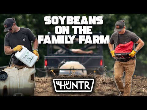 Soybeans on the Family Farm
