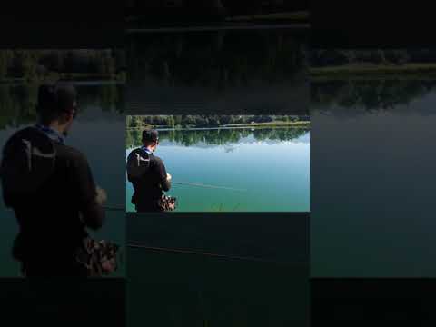 Deps Kakuru Bass Fishing Black bass Spinning Casting Plus Fishing