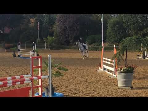 Lex Gijsen met witte de wit