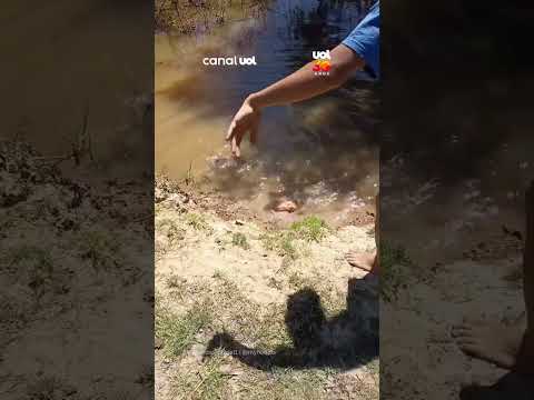 Peixe-elétrico de 2 metros impressiona pescadores em Confresa (MT)