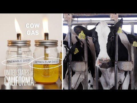 Is California’s biofuel program good for the planet?