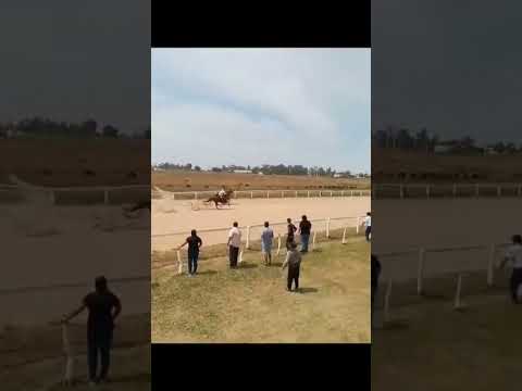 safada soom de tapebicua corrientes