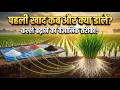 धान में पहली खाद कब और क्या डालें 100 कल्�