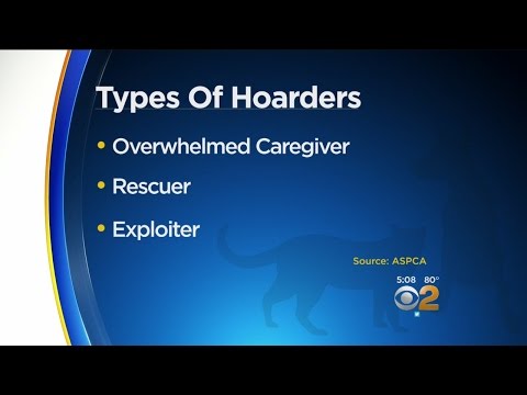 Types Of Hoarders