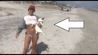 Spring 2019 Gear-up!